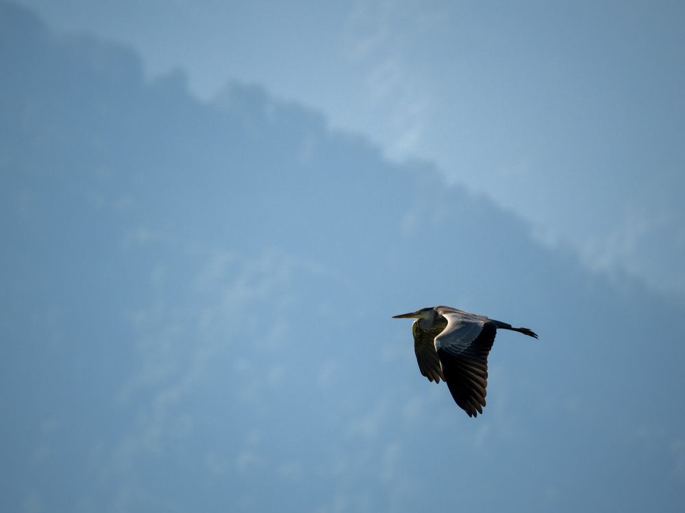 Photograph by Анна Теплицкая