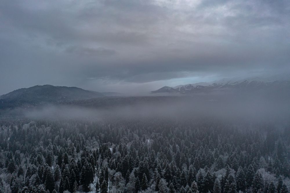 Photograph by Анна Теплицкая