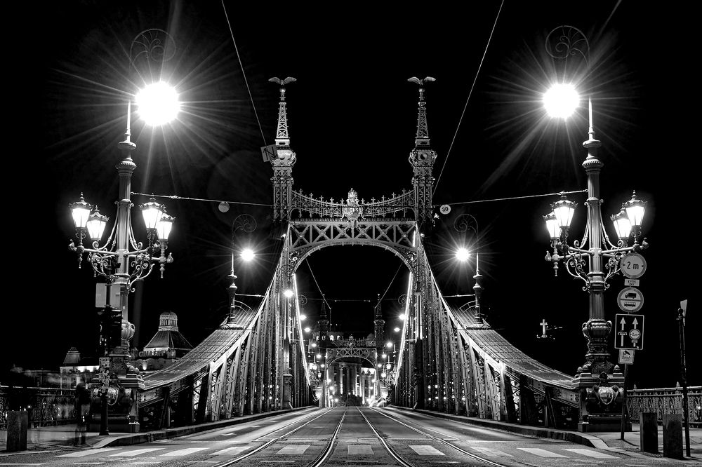 Фотография автора Faller Tamás