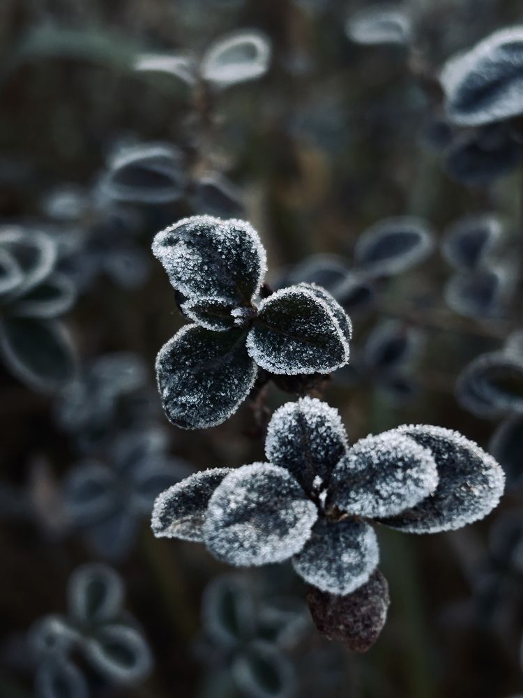 Фотография автора Nastasya Sablina