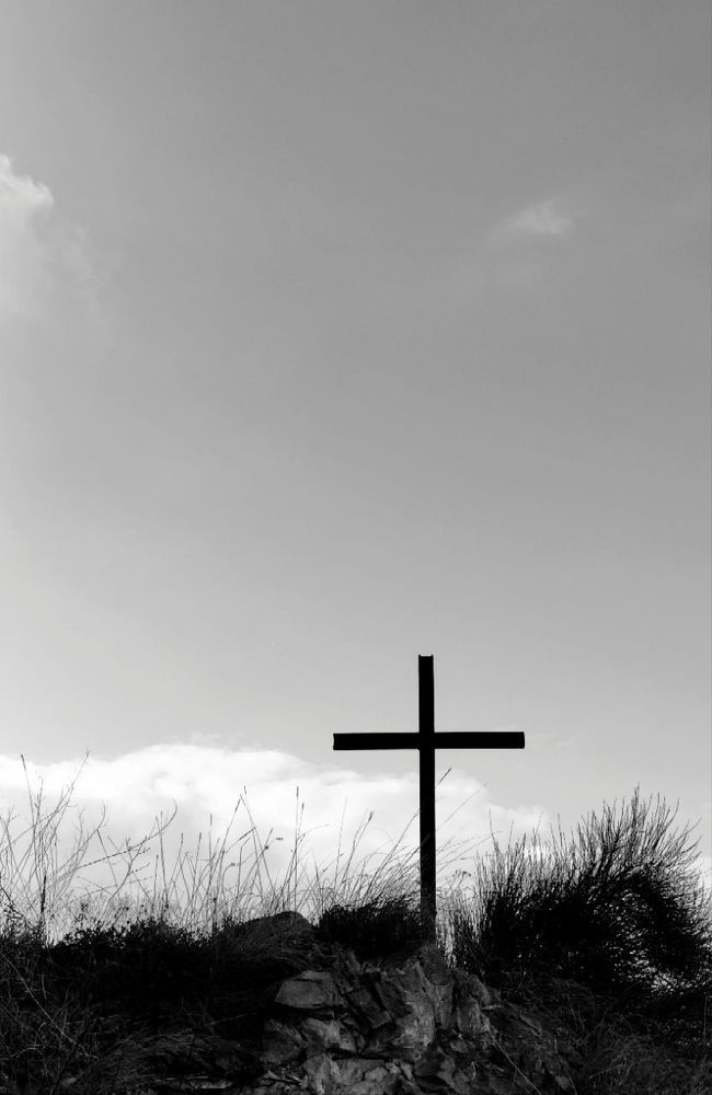 Photograph by Алена Данелия