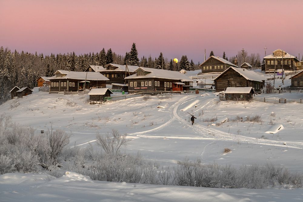 Photograph by Журавлев Александр