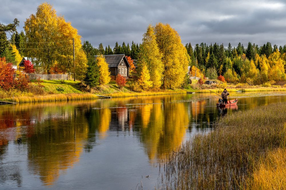 Photograph by Журавлев Александр