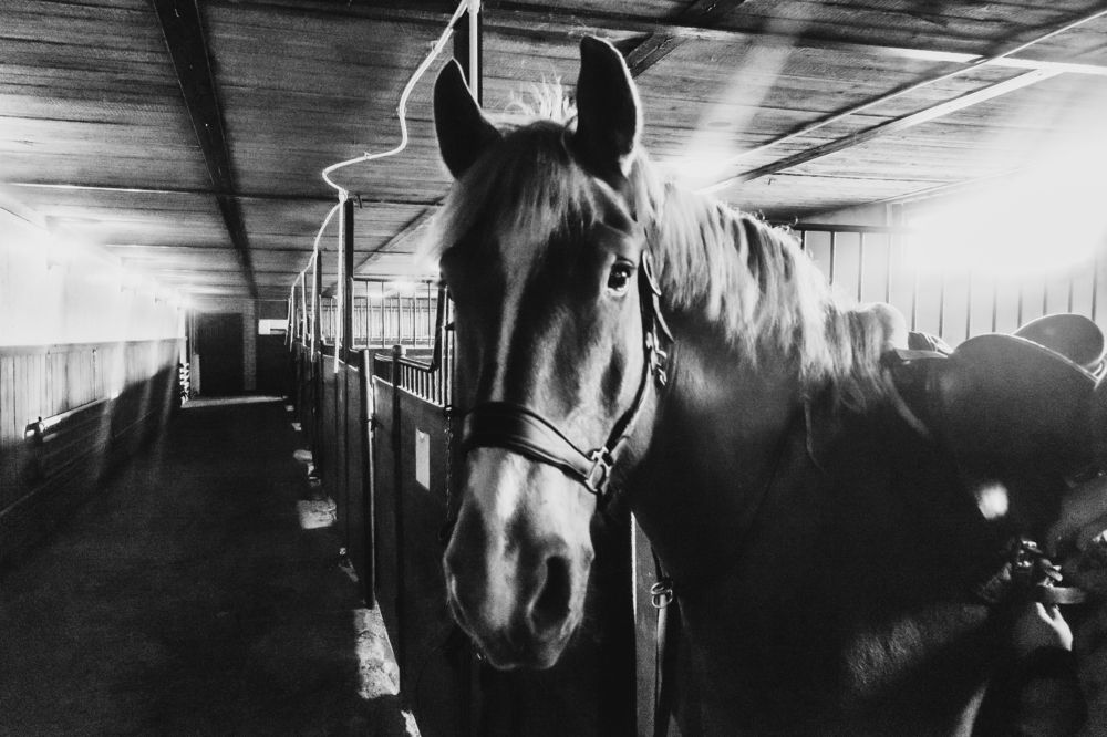 Фотография автора Виталий Гавронский