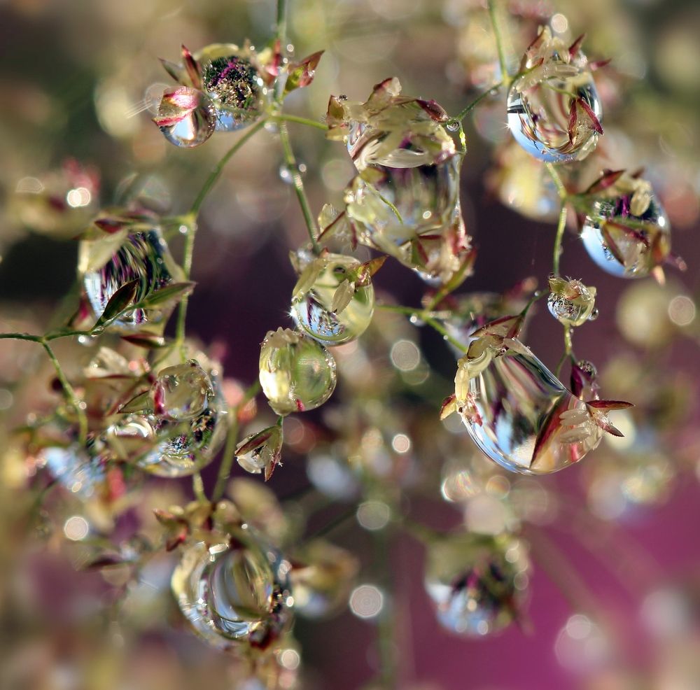 Photograph by Любовь Саханова