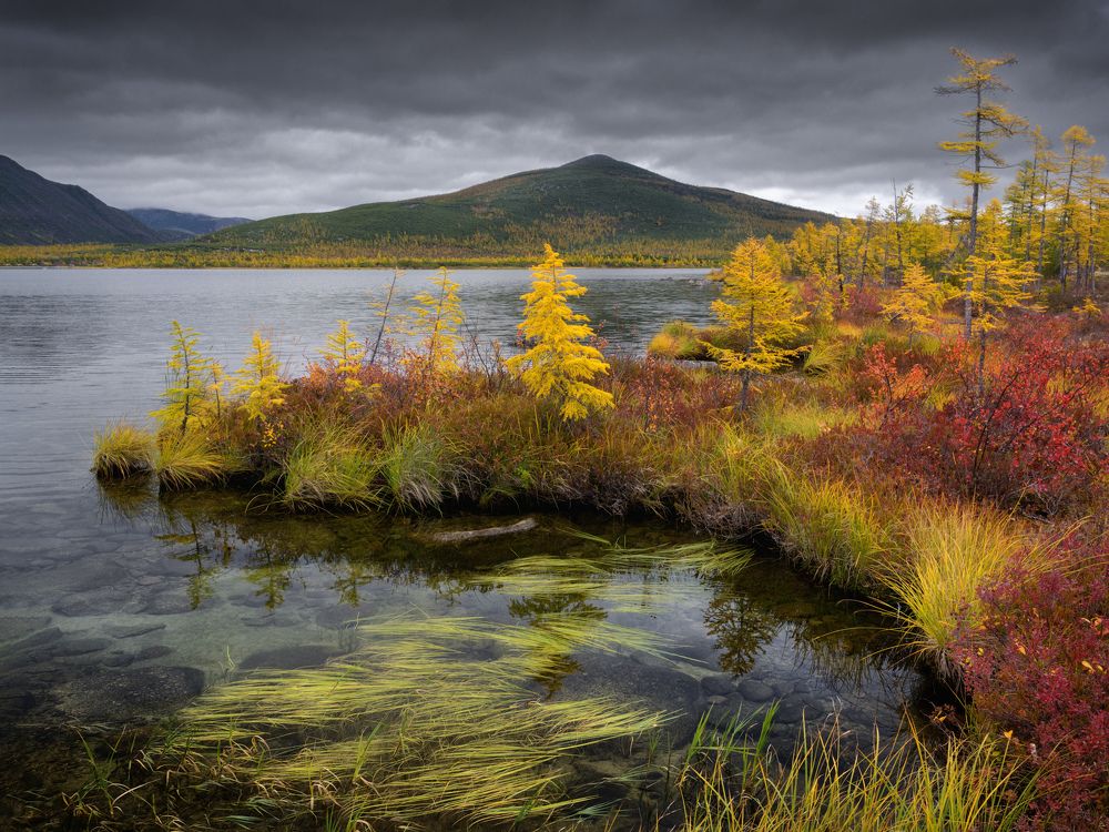 Фотография автора Dmitry Medyancev