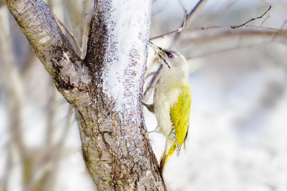 Photograph by Татьяна Семенова