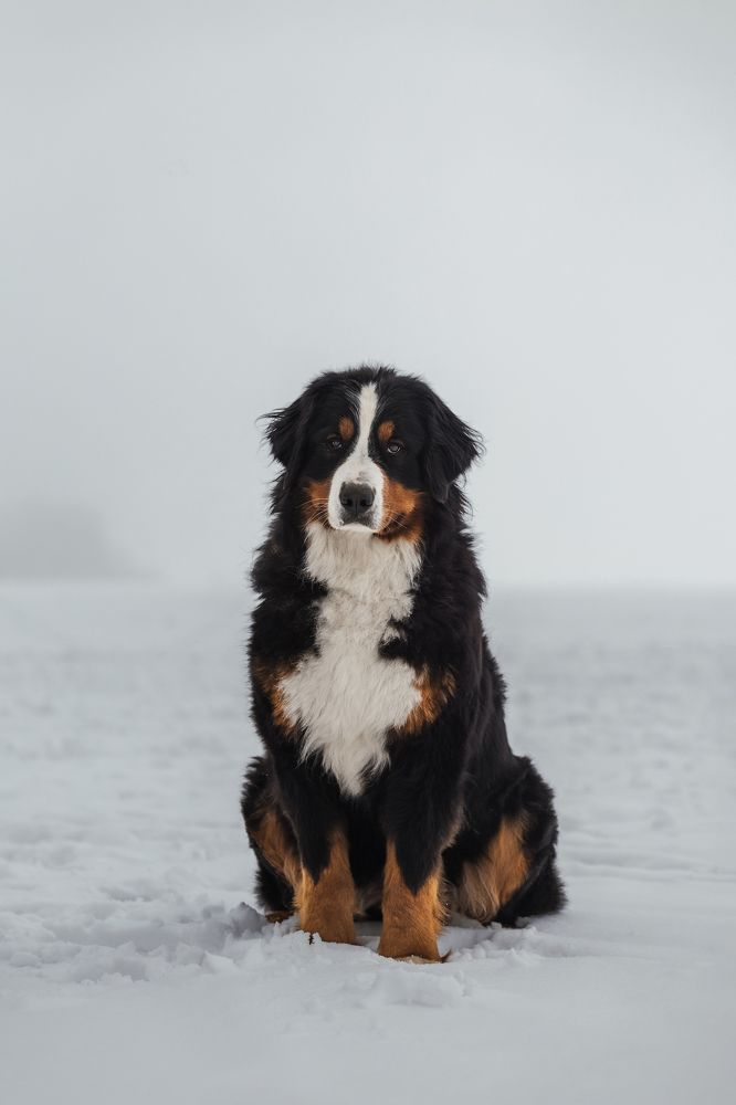Фотография автора Мария Семенова