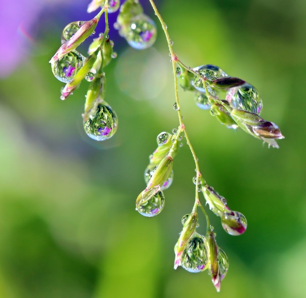 Photograph by Любовь Саханова