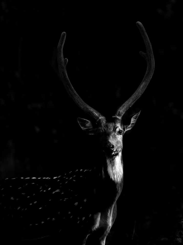 Let the Sun Shine on You