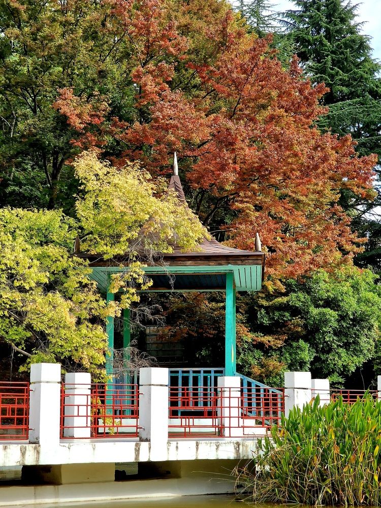 Photograph by Полина Галянина