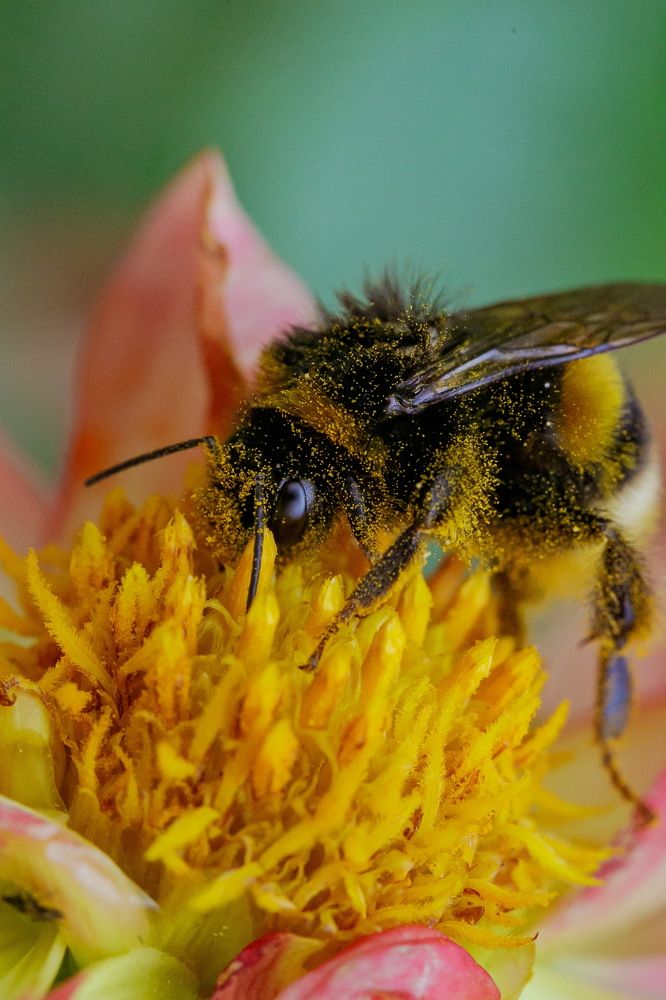 Photograph by лена