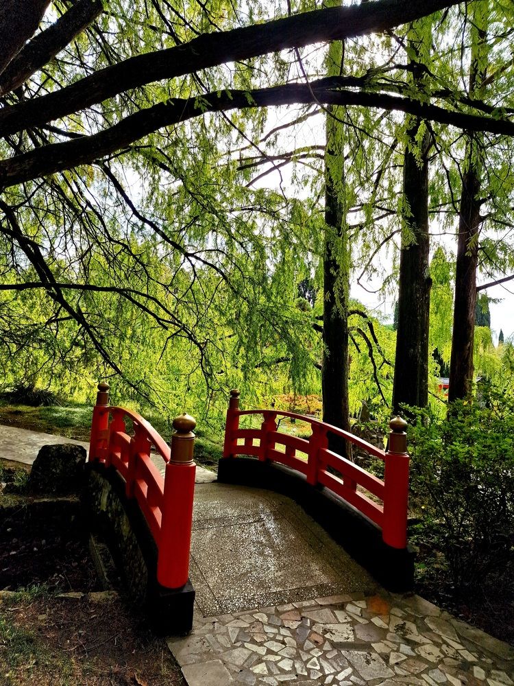 Photograph by Полина Галянина