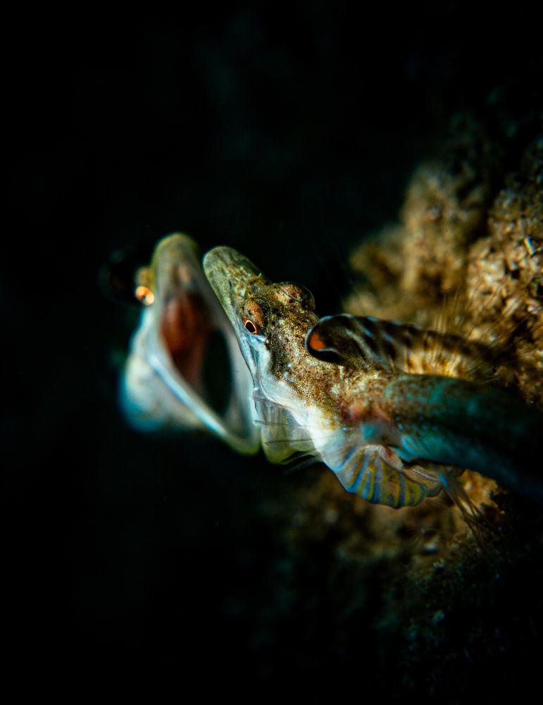 Photograph by Magali Marquez