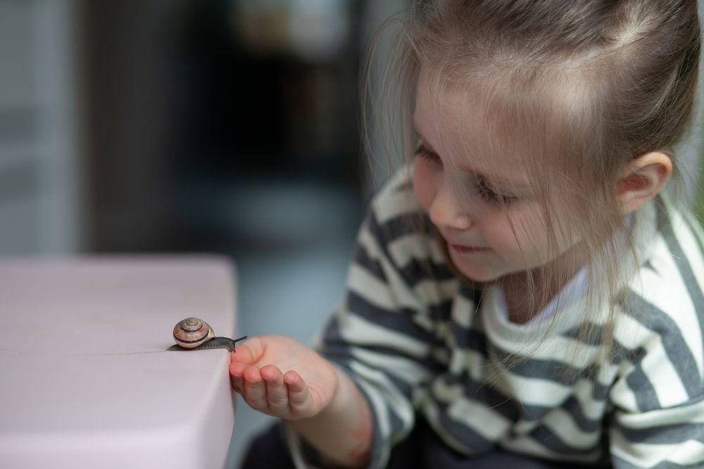 Photograph by Эльвира Большова