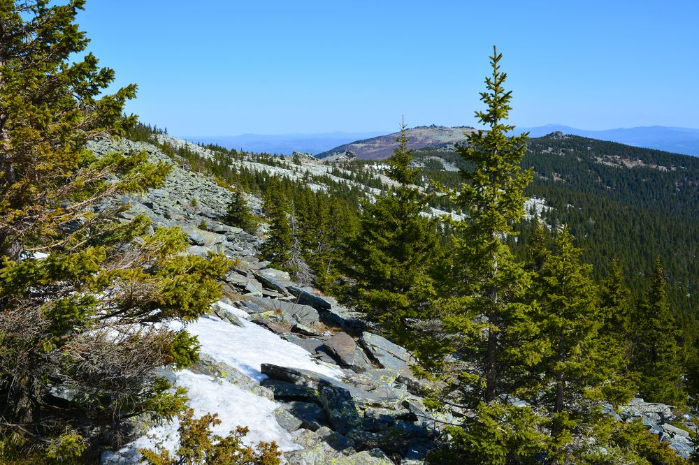 Весна идёт!