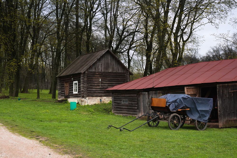 Photograph by DUBINA LEONID