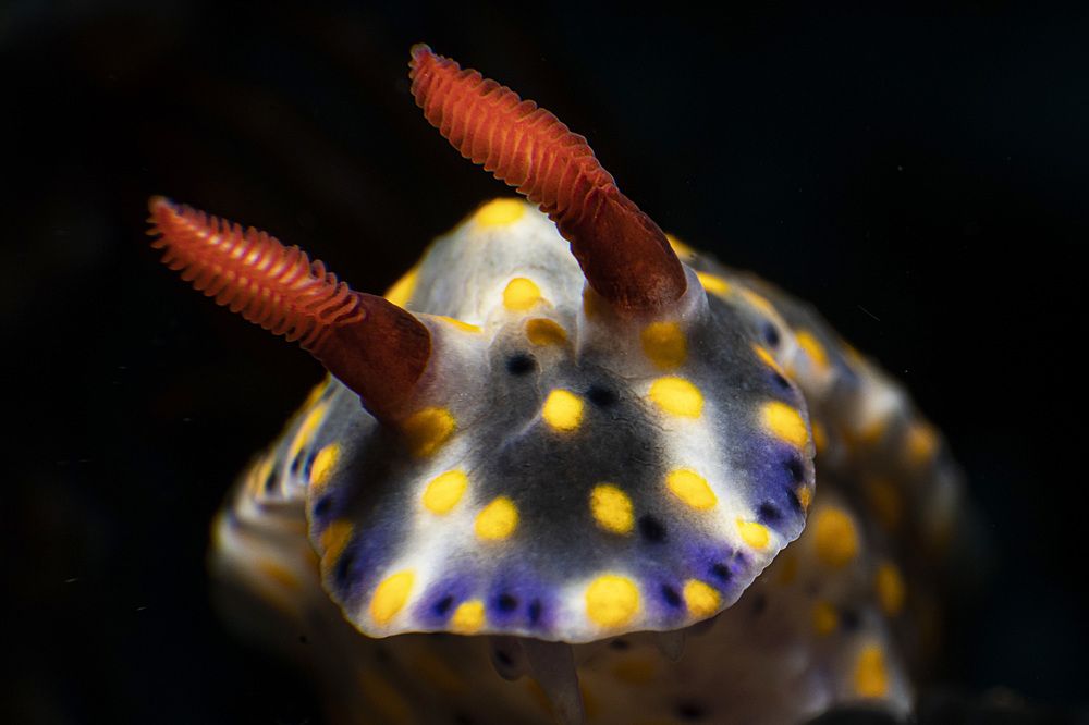 Photograph by Deniz muzaffer Gokmen