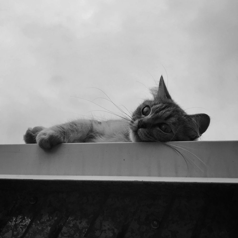 Photograph by Артемий