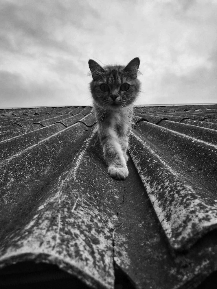 Photograph by Артемий