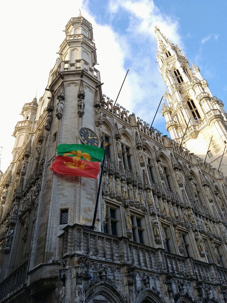 The Town Hall of Brussels