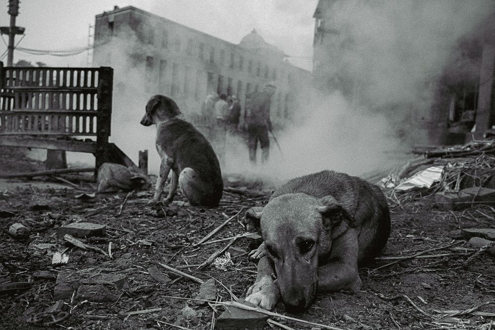 Photograph by Akshay