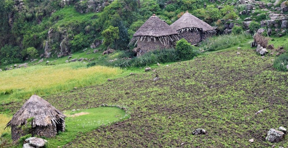 Photograph by Mikiyas Tefera