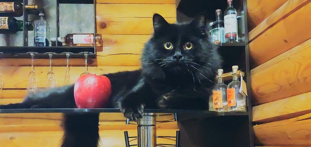 Фотография автора Можаев Сергей