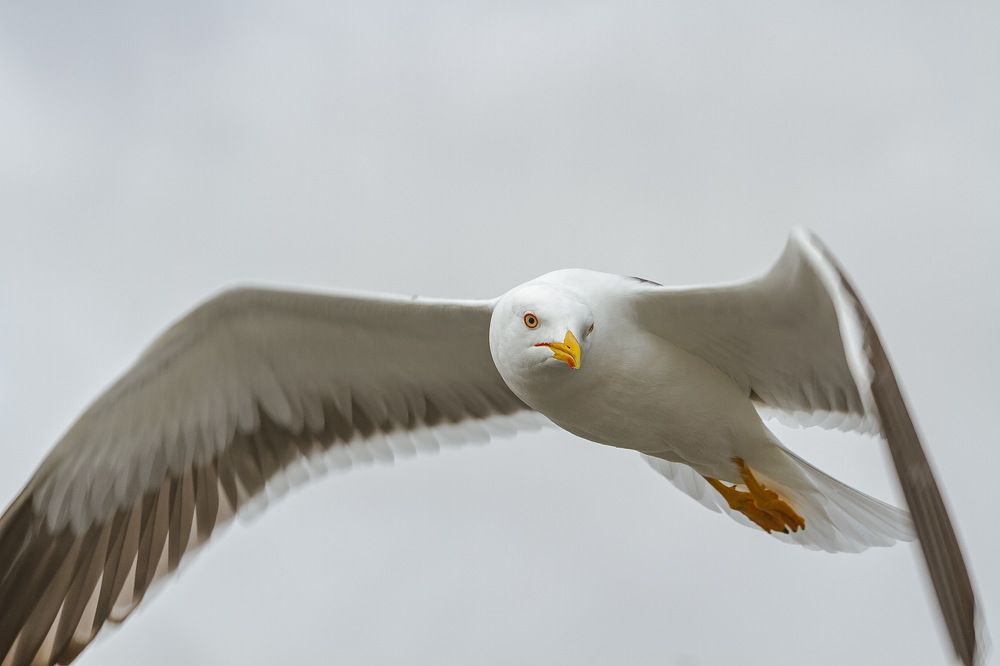 Photograph by Лена Кор