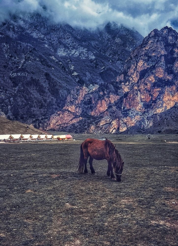 Photograph by Ольга Волкова