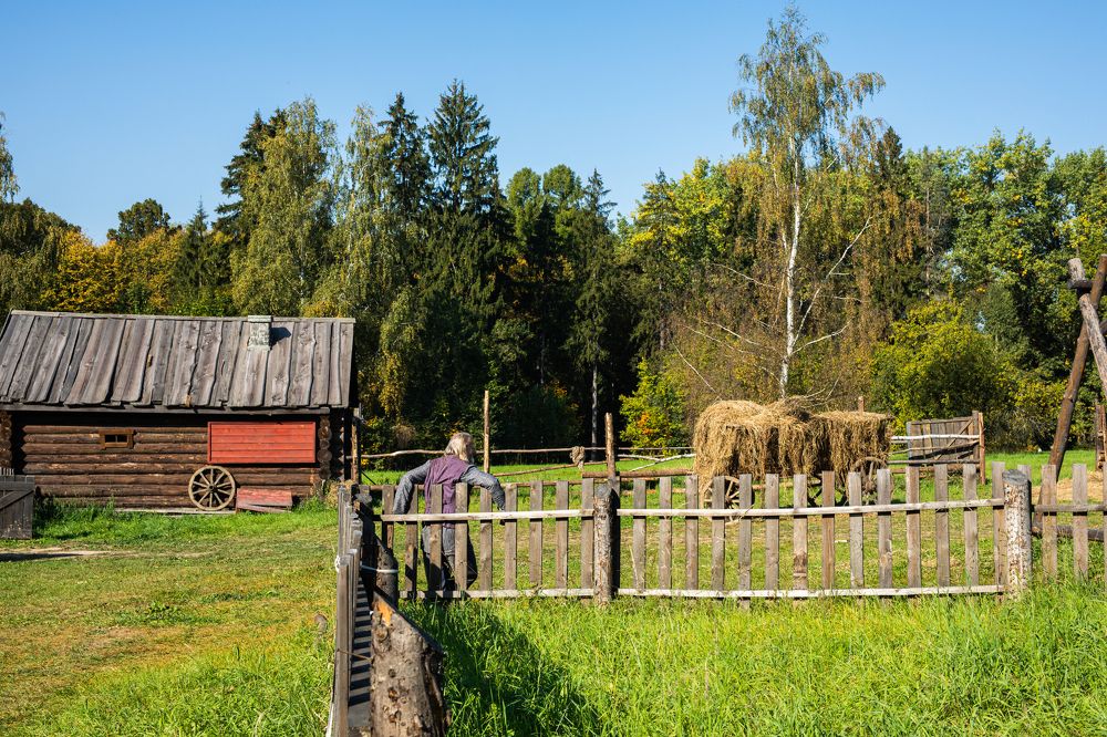 Photograph by Буданова Мария