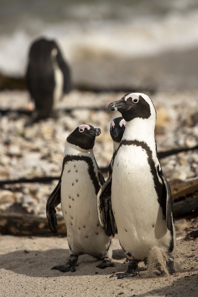 Photograph by Валерия