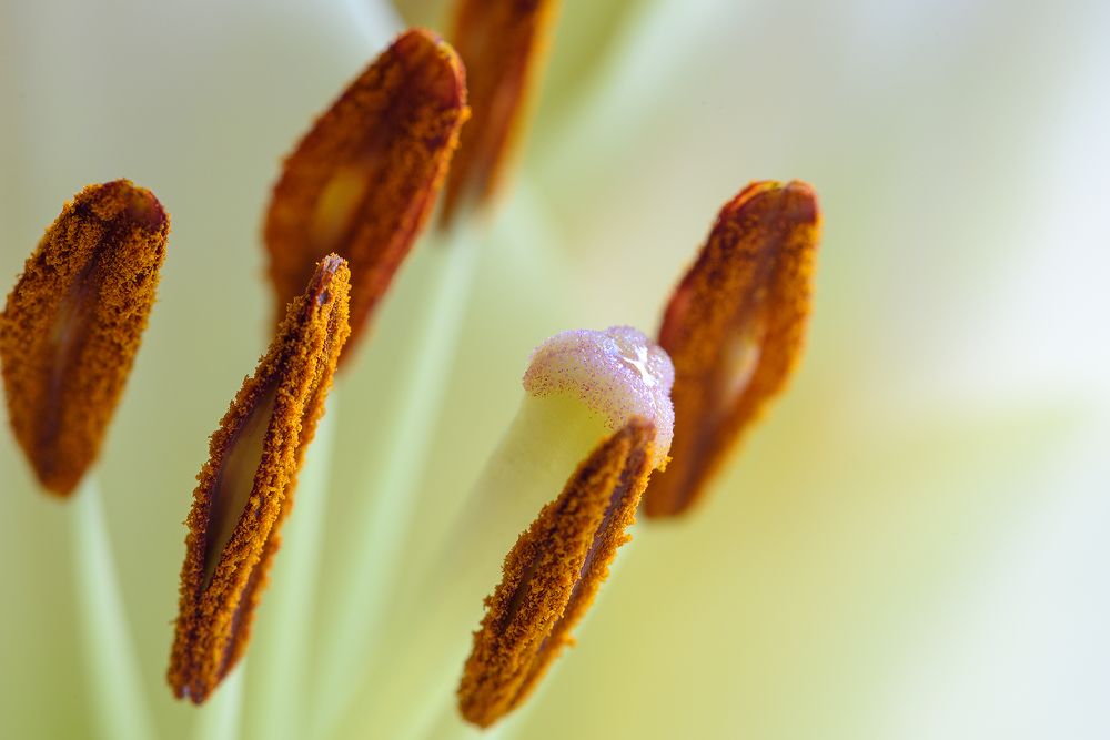 Фотография автора Александр Добыш