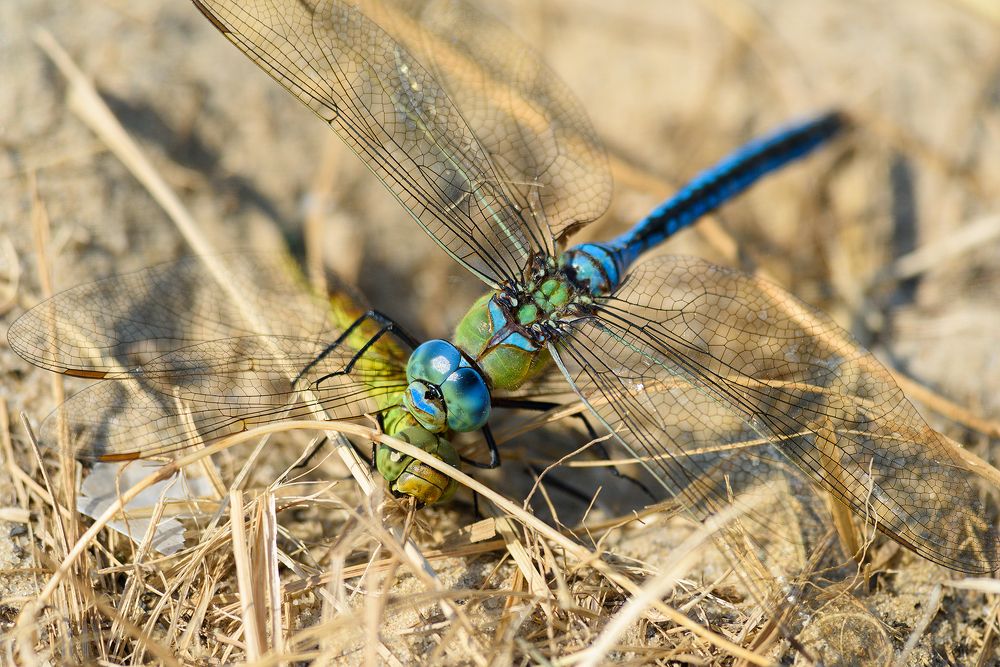 Фотография автора Александр Добыш