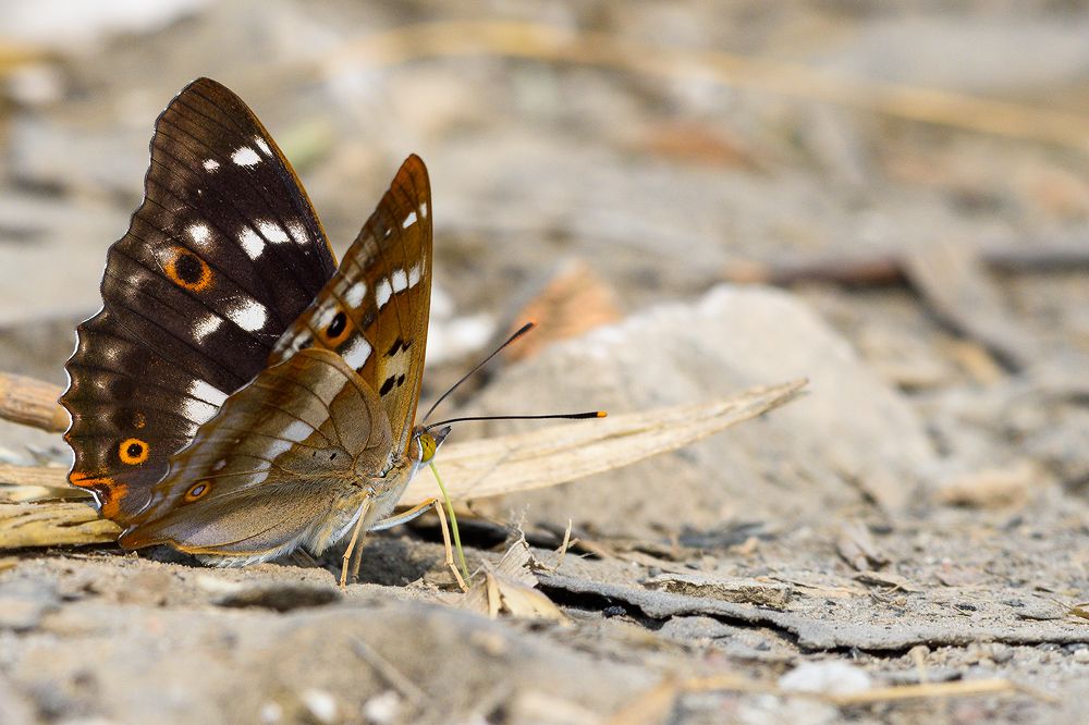 Фотография автора Александр Добыш