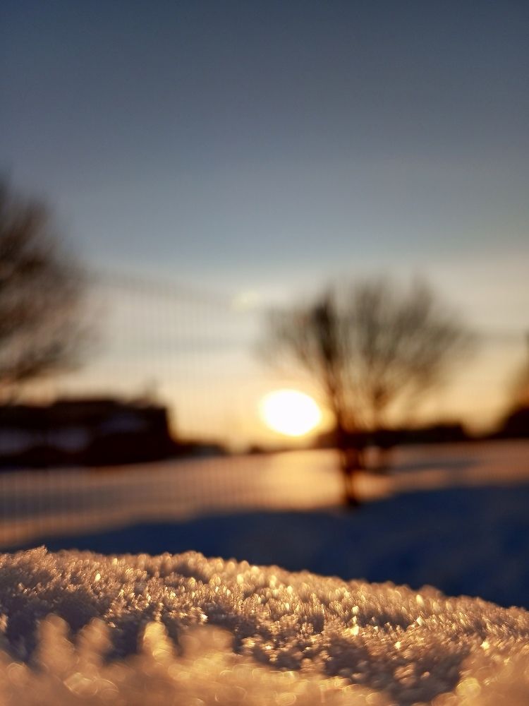 Photo #10306699