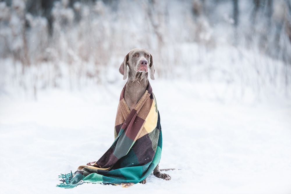 Photograph by Шитиков Владимир