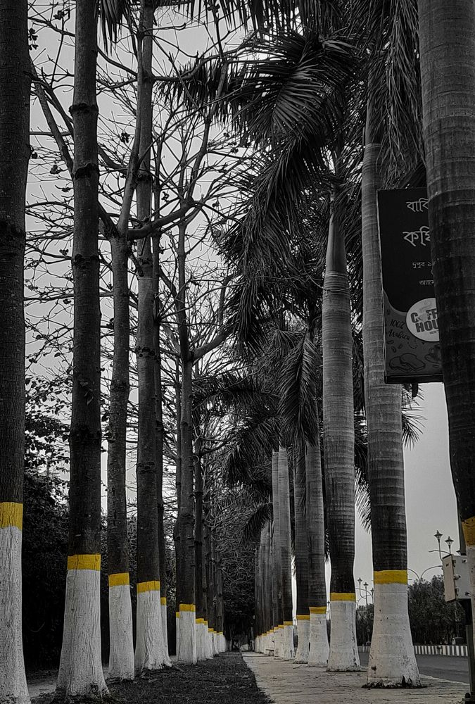 Photograph by Arindam Mullick