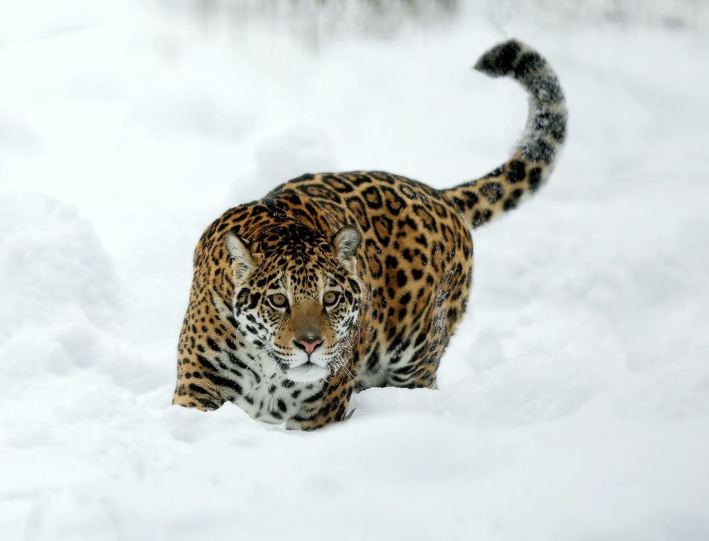 Photograph by Андрей Автухов