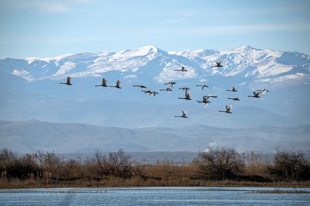 Photograph by Александр Щербаков