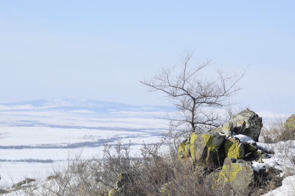 Photograph by Светлана Максимова