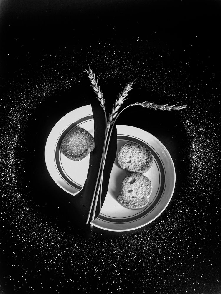 Фотография автора Светлана Гончарова