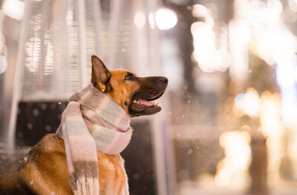 Photograph by Зотова Дарья