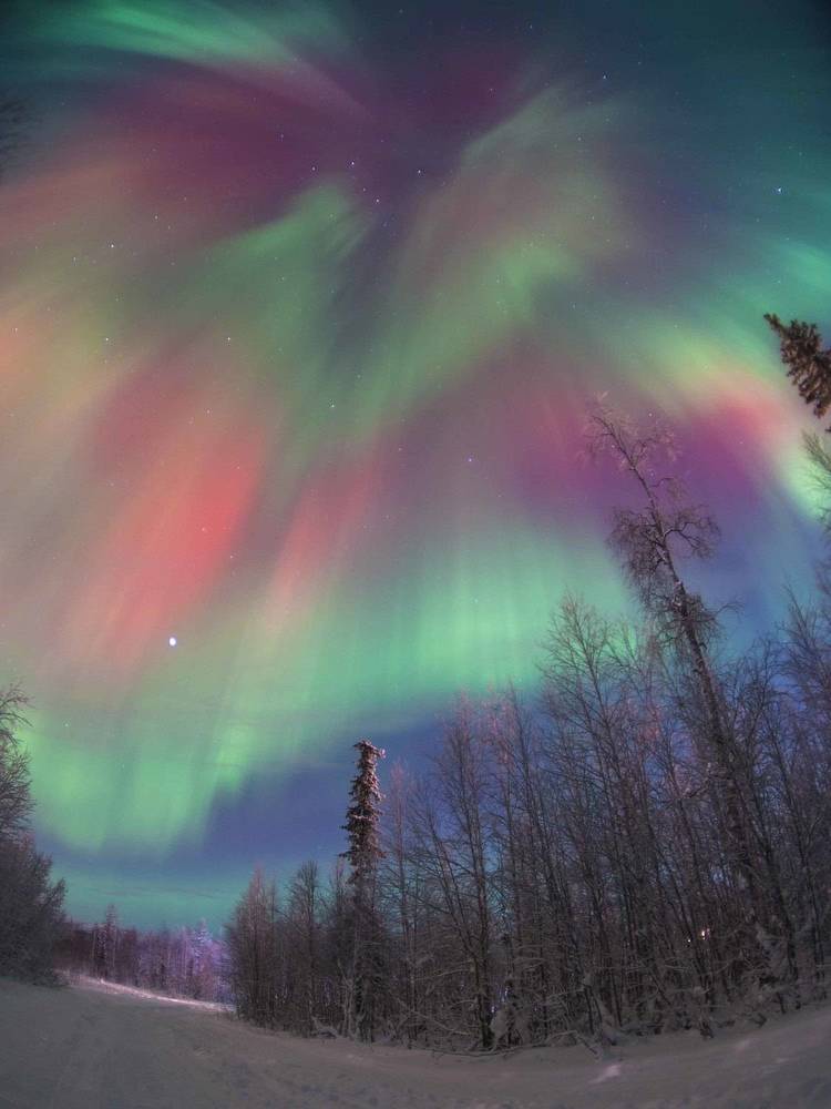 Яркая встреча