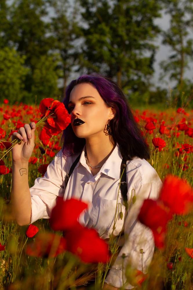 Маковое поле