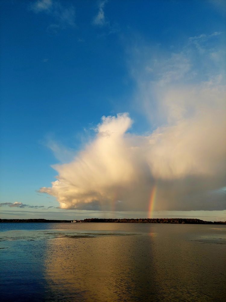 Фотография автора Елизавета Ковалева