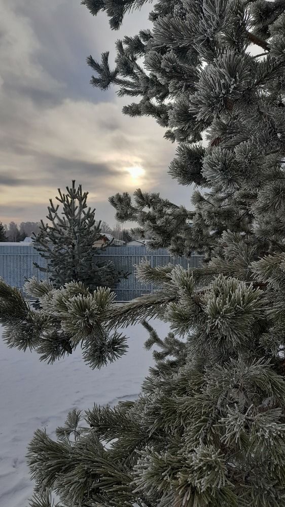 Photograph by Ольга Макарова