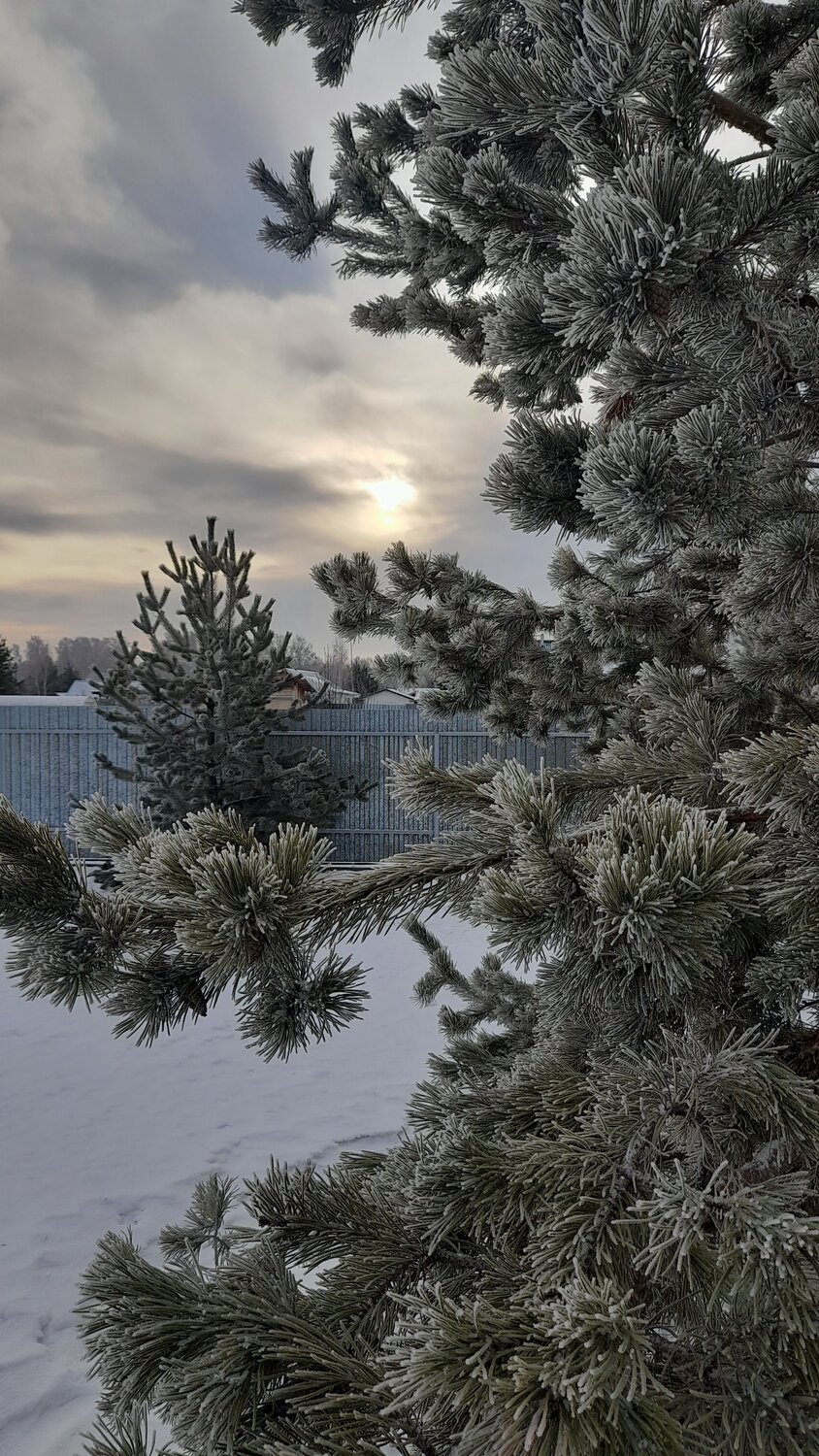 Photo #10306961