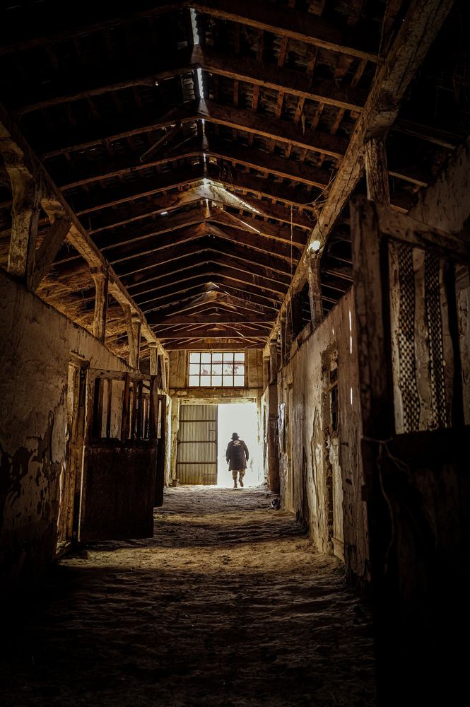 На конюшне.