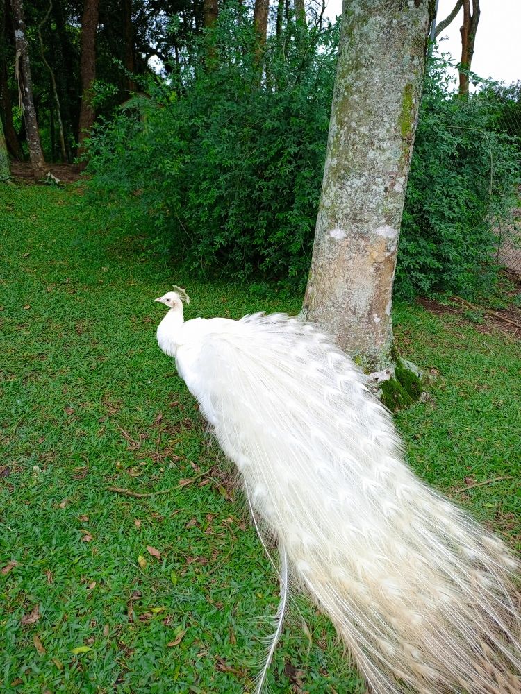 Photo #10306971
